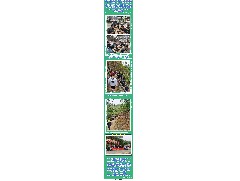 “因為年輕，所以有夢”2021君盛實業(yè)模具中心踏青活動！